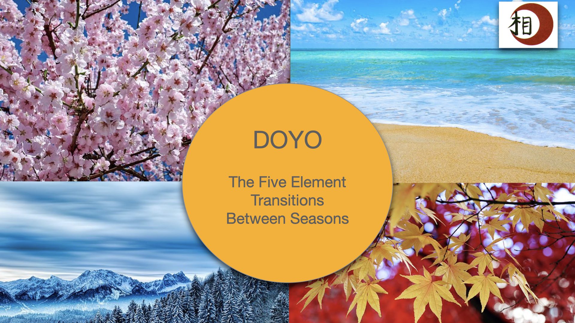 Read more about the article Doyo Really Is All Over The Place